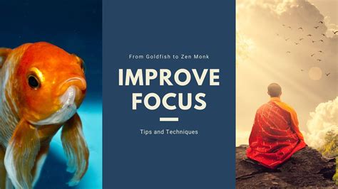 How To Improve Focus Tips To Stay Focused Focus Trainer