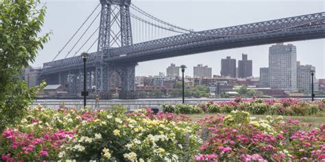 The Most Beautiful Sidewalk Gardens In New York City