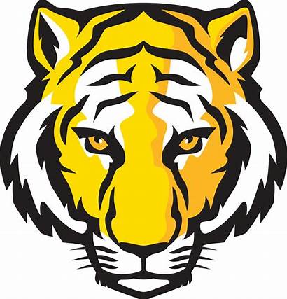 Tiger Tigers Depauw Detroit Gold Clipart Woods