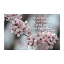 Best cherry blossom quotes selected by thousands of our users! Image result for cherry blossom quotes | Cherry blossom quotes, Cherry blossom