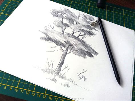 See more ideas about desene, desene în creion, creion. Desen in creion cu copac - Desene in Creion - Cristina Vivi