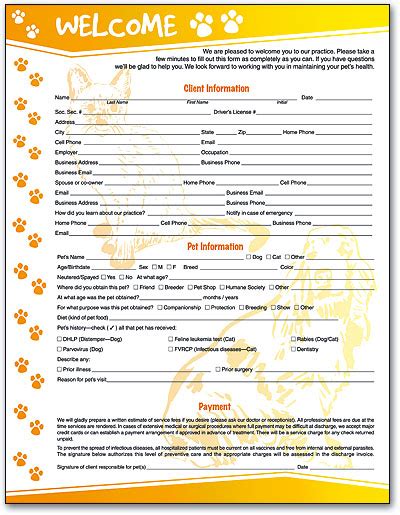 Veterinary Patient History Form Template Fill Online