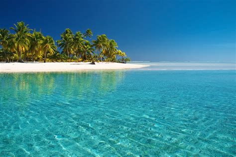 Landscape Sea Bay Nature Shore Beach Coast Palm Trees Swimming