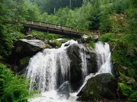 7 Cosas Increíbles Para Hacer En La Selva Negra Alemania Viajes Y