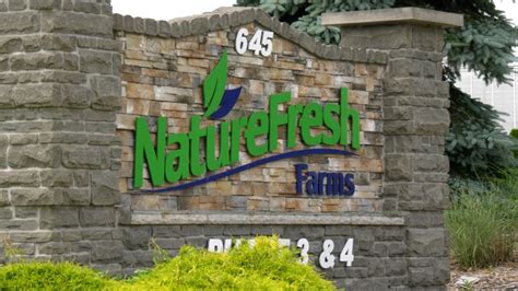 Nature Fresh Farms Hires New Gm For Mexico Expansion Ctv News