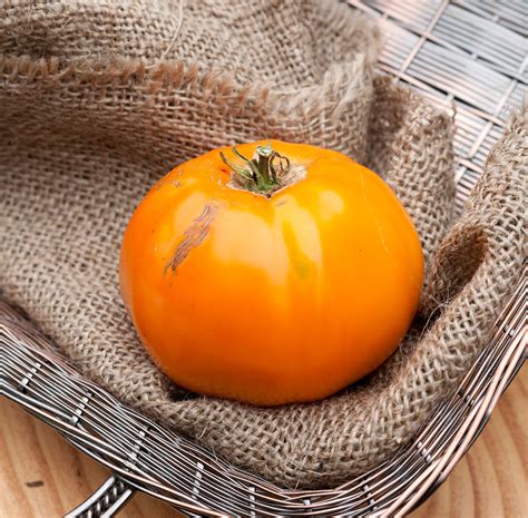 Pegs Round Orange Heirloom Tomato Premium Seed Packet · Sherwoods