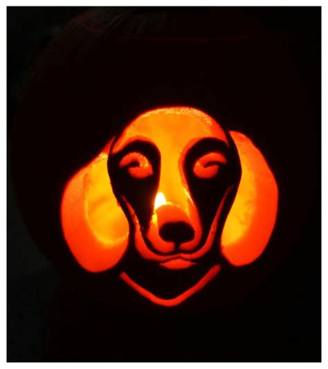 17 Of The Coolest Pumpkins Carved Like Animals Cuteness