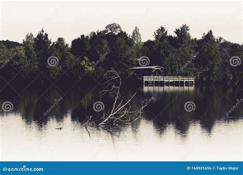 Beautiful Lakeside Dock And Tree Stock Photo Image Of Dock Beautiful