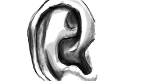 How To Draw Human Ears Step By Step