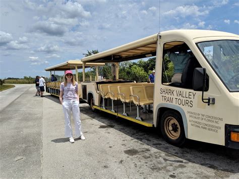 Guide To Shark Valley Tram Tour Everglades National Park Culturebean