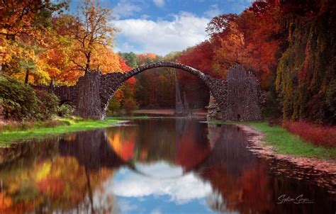 Wallpaper Forest Trees Bridge Lake Germany Saxony Saxony