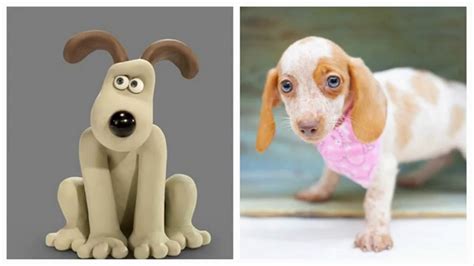 Wallace And Gromit Characters In Real Life Youtube