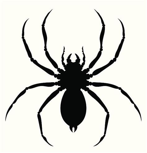 Spider Clip Art Vector Images And Illustrations Istock