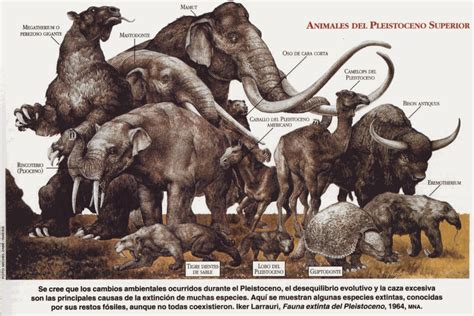 Animales Del Pleistoceno Animales De La Prehistoria Animales