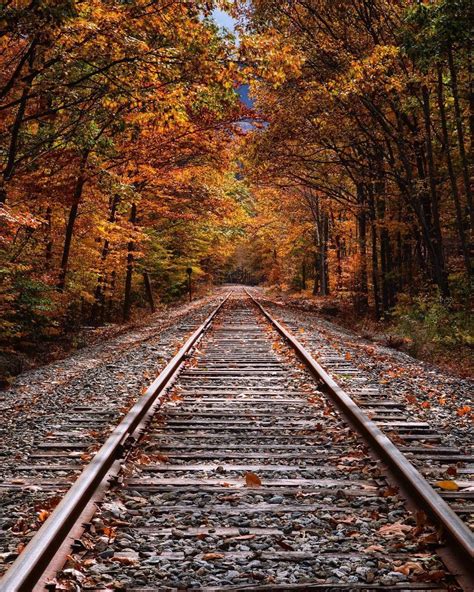 Pin By Everythingpins On Fall Train Tracks Photography Scenery