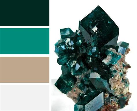 8 Luxury Color Palettes For Your Glam Style