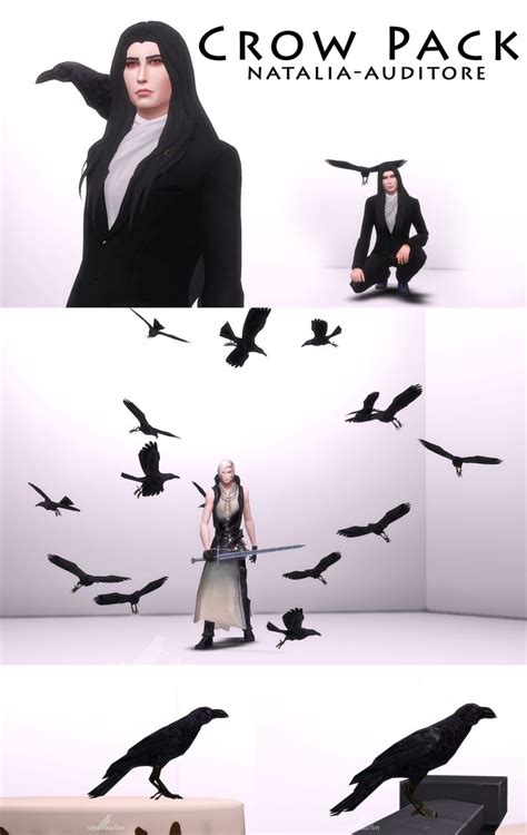 Crow Pack Natalia Auditore On Patreon Sims 4 Sims Sims 4 Pets