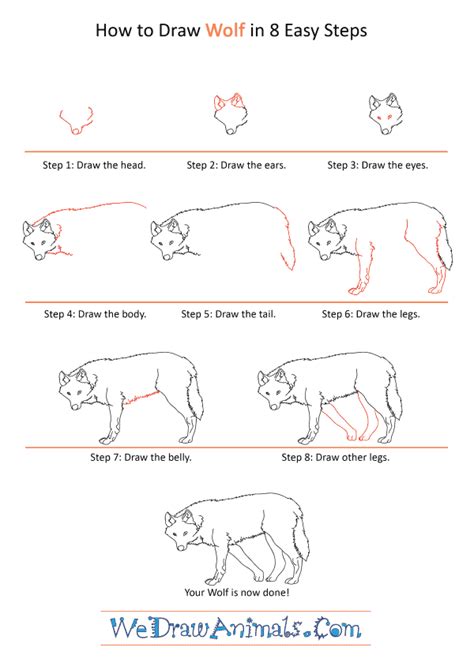 In this tutorial i will show you how to draw a realistic fox step by step, without any reference. How to Draw a Realistic Wolf