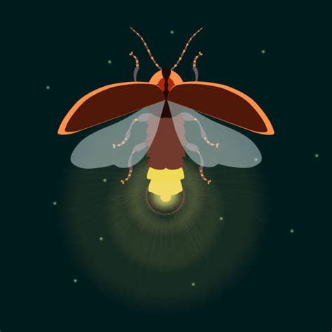 Fireflies Clip Art Vector Images And Illustrations Istock