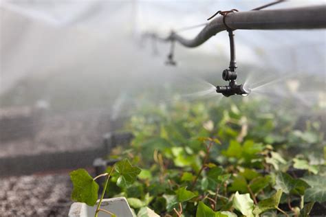 Choosing The Right Greenhouse Irrigation System Berger En