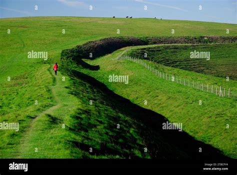 The Wansdyke Ancient Earthwork On The Wiltshire Downs Looking Towards