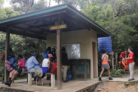 Foto Indonesia Bisa Contoh Gunung Kinabalu Untuk Shelter Pendakian Gunung