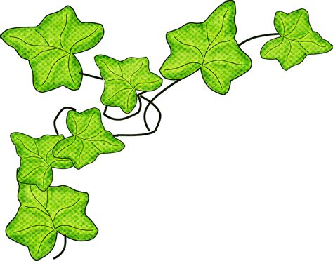 Ivy Clipart Flower Clip Art Ivy Png Download Full Size Clipart