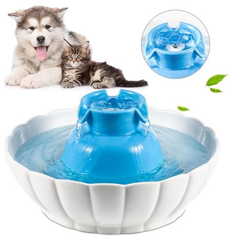 Best Dog Water Fountains Reviews And Top Tips