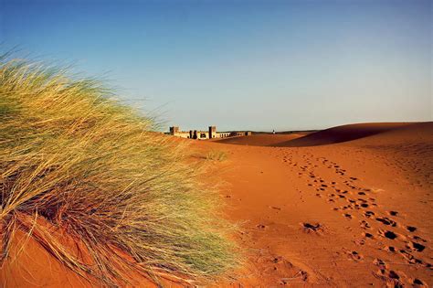 A Moroccan Desert Scenery With Sand Dunes Desert Grass Plantati Photograph By Jozef Klopacka