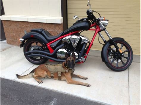 More items related to this product. Buy 2012 Honda Fury (VT1300CX) on 2040-motos