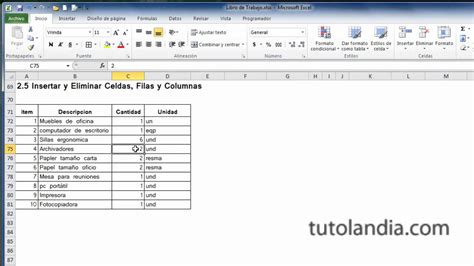 Excel 2010 Basico: 2.5 Insertar y Eliminar Celdas Filas y Columnas