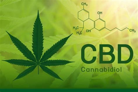 Cbd Could Reduce Behaviour Problems In Children With Intellectual