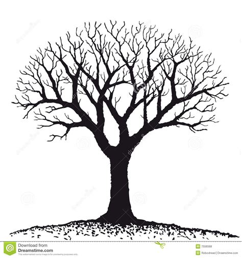 Bare Tree Clipart With Images Tree Drawing Tree Coloring Page