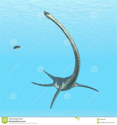 Plesiosaur Elasmosaurus Stock Illustrationer Illustration Av