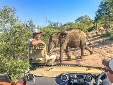 Tipping On A Safari Everything You Need To Know About Safari Gratuity