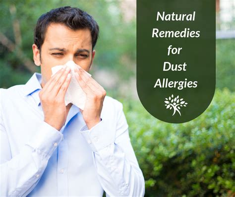 8 Ayurvedic Remedies For Dust Allergies Natural Health Strategies