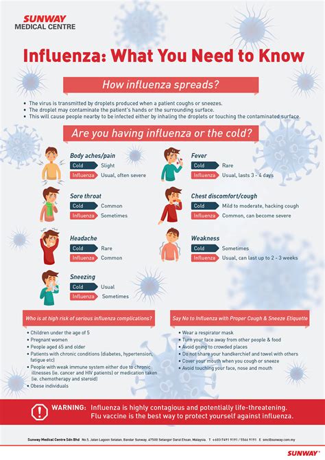 The ‘facts Of Influenza Flu