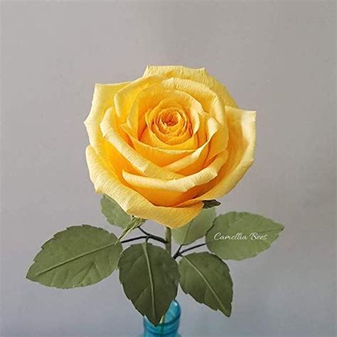 Here are the 44 best valentine's day gifts for mom. Amazon.com: Paper Rose Gift for Wedding Anniversary Mother ...