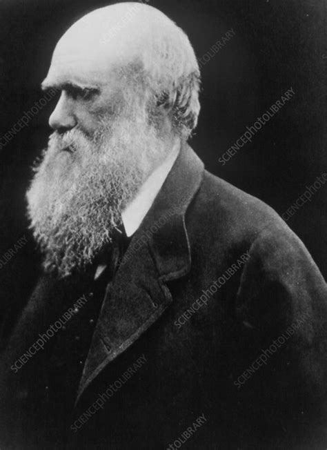 Charles Darwin As An Old Man Stock Image H4040042 Science Photo