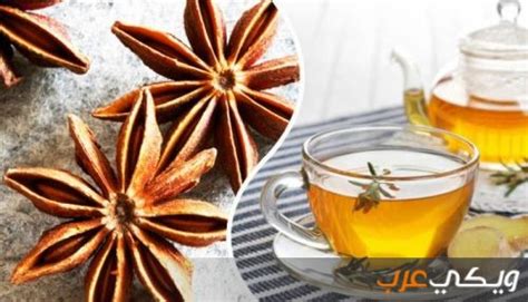 فيديو الزئبق الأحمر حقيقة أم خرافة؟ فوائد شاي اليانسون للأطفال - ويكي عرب