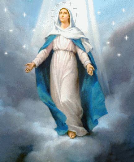 La Inmaculada Concepción De La Bienaventurada Virgen María Misión