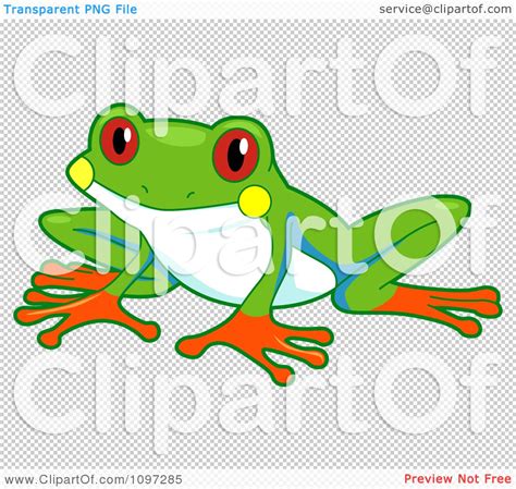 Clipart Cute Red Eyed Tree Frog Royalty Free Vector Illustration By