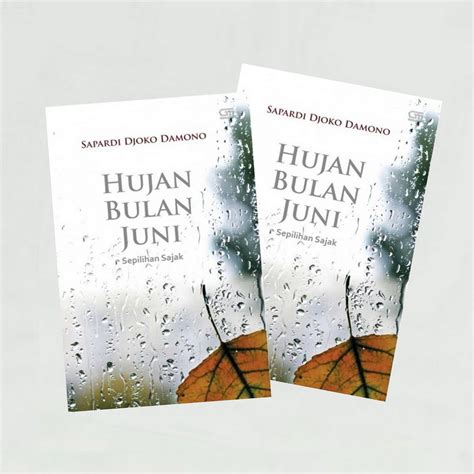 Resensi Buku Hujan Bulan Juni Karangan Sapardi Djoko Damono