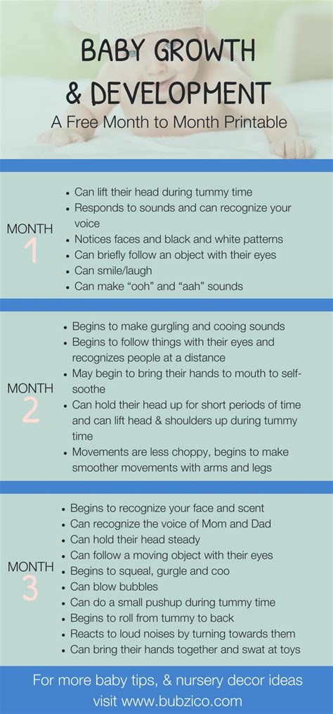 An Amazing First Year A Monthly Chart Of Babys Important Milestones