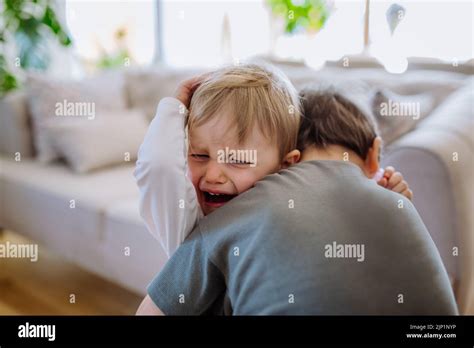 Little Brother Hugging His Crying Sister Consoling Her Stock Photo Alamy
