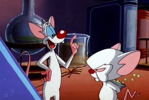 Pinky and the brain takes over the world with art. Pinky And The Brain Wallpapers - Wallpaper Collection