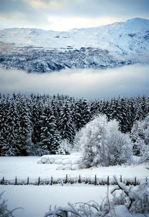 I Love Winter Winter Time Beautiful World Snow And Ice Snow Scenes