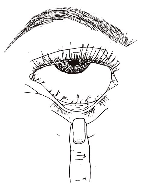 Eye Grunge Grunge Art Tumblr Art Line Art Drawings
