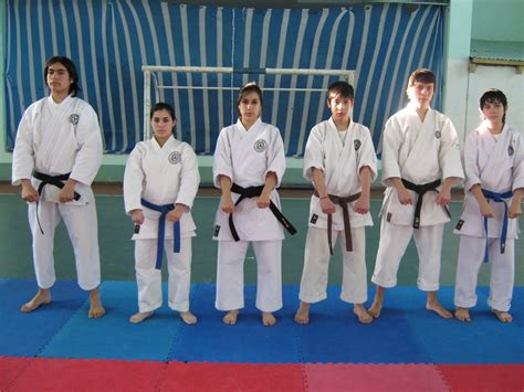 Karate Shito Ryu Katas Posiciones Y Todo Lo Que Necesita Saber