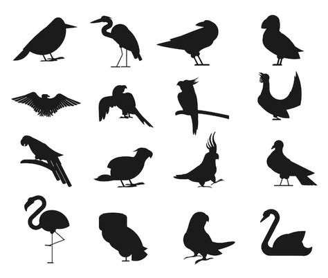 Premium Vector Set Of Tropical Birds Flat Isolated Vector Silhouettes